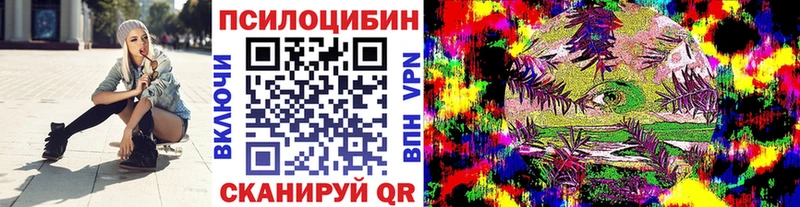 Псилоцибиновые грибы мицелий  OMG рабочий сайт  Бикин  закладка 